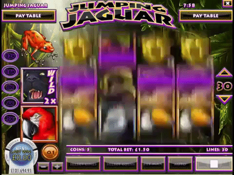 Jumping Jaguar Slot